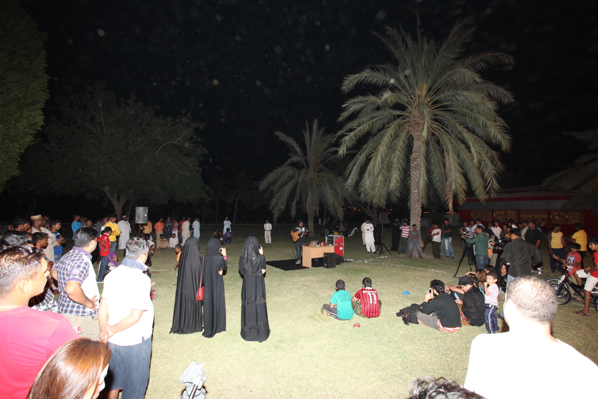 WITHIN — Images — WITHIN 2013 Sharjah Biennial 11 The Emic Hassan Hujairi-3 — Sharjah Biennial 11, 2013