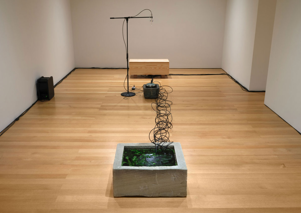 The Whisperers — Installation view, The FLAG Art Foundation, New York, USA, 2022