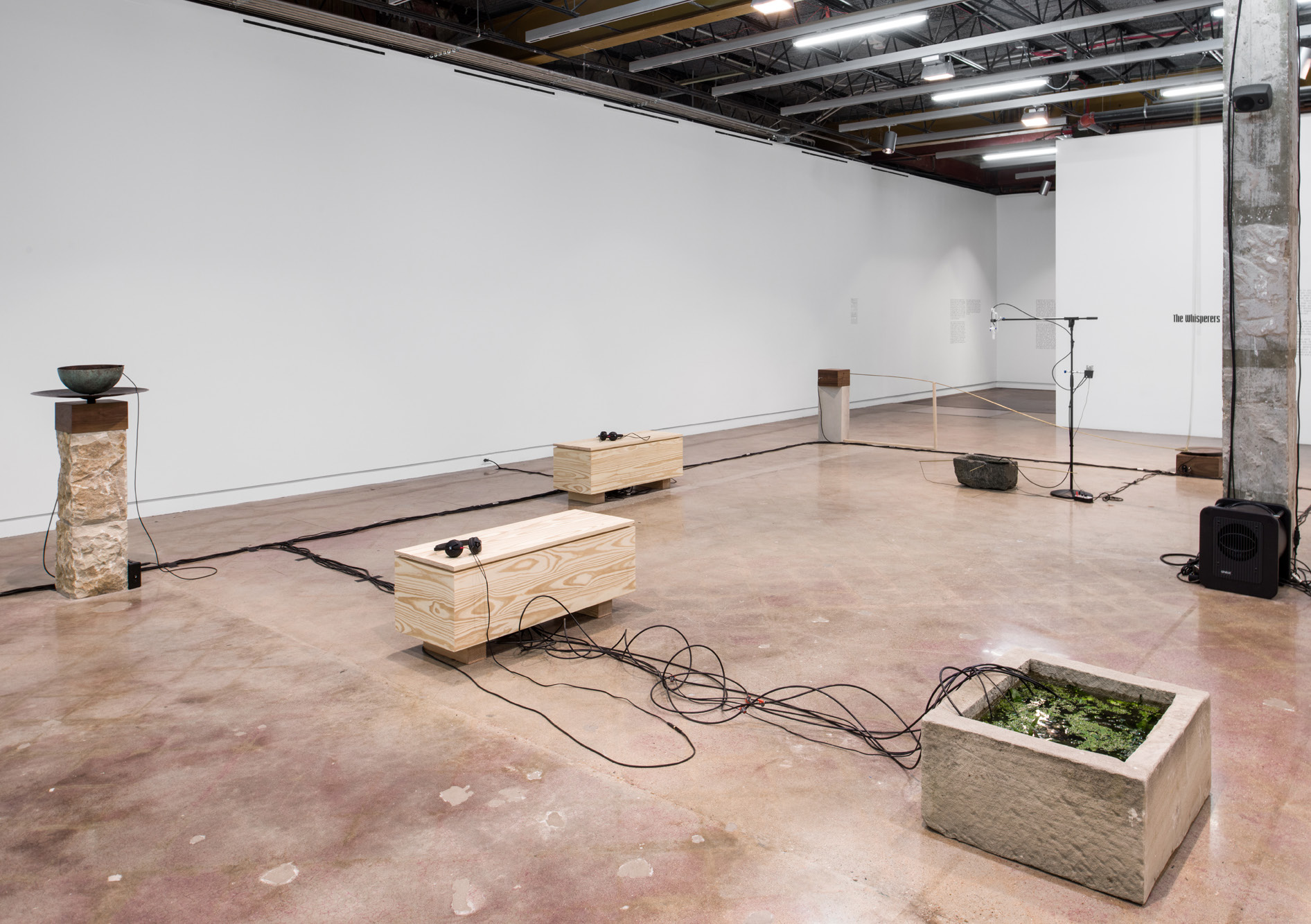 The Whisperers — Installation view, The Contemporary Austin, Austin, USA, 2022