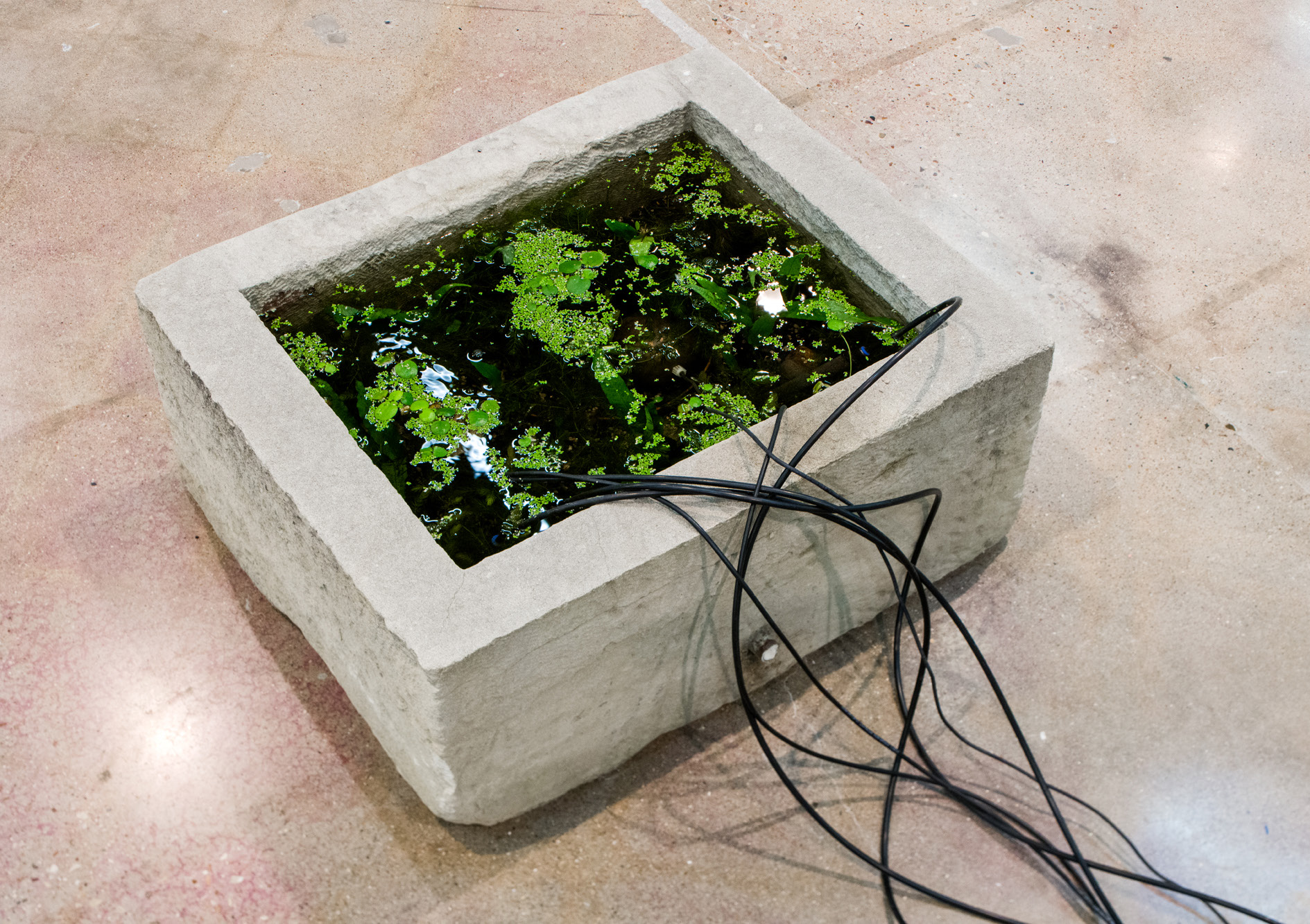 The Whisperers — Installation view, The Contemporary Austin, Austin, USA, 2022