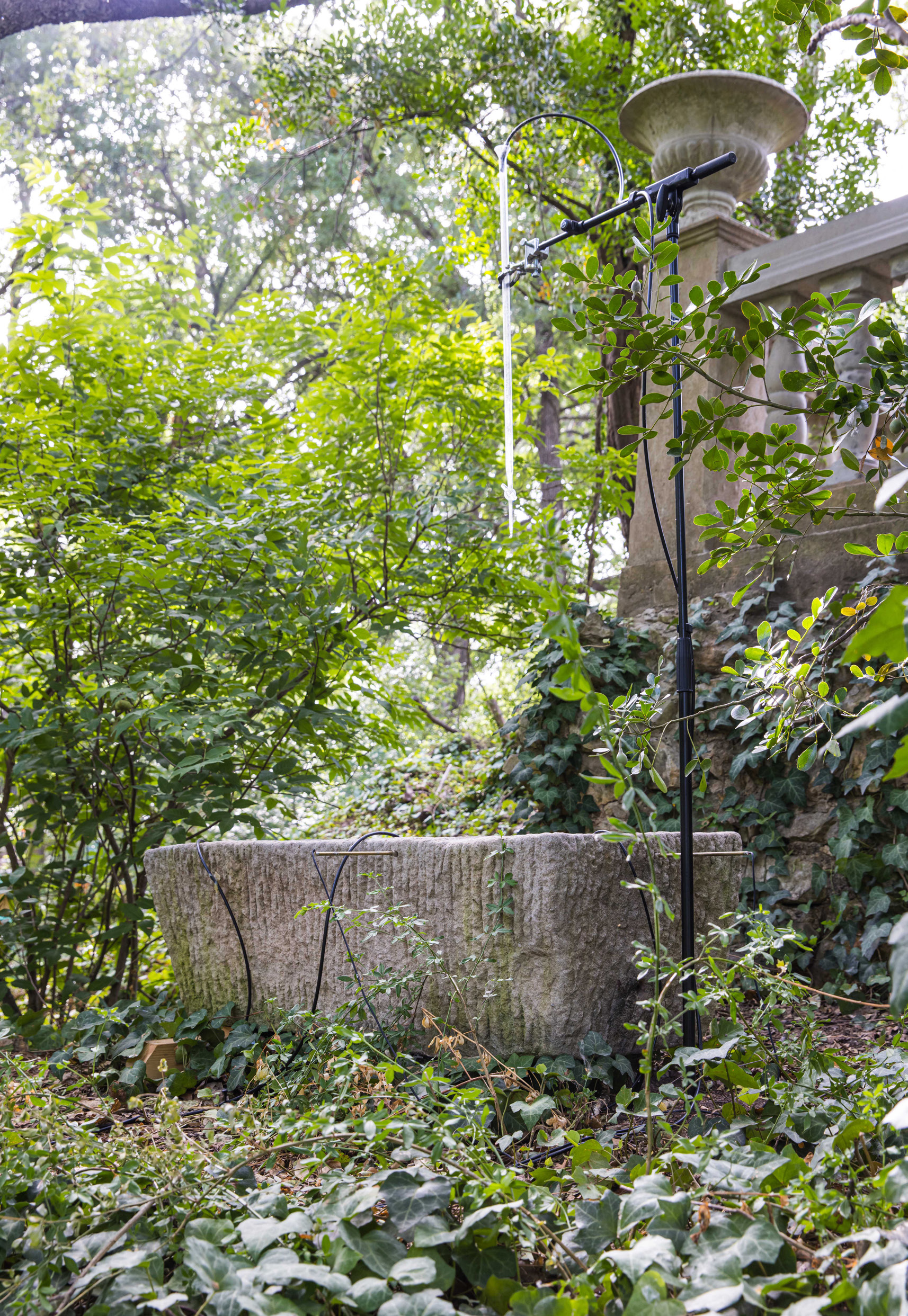The Whisperers — Installation view, The Contemporary Austin, Austin, USA, 2022