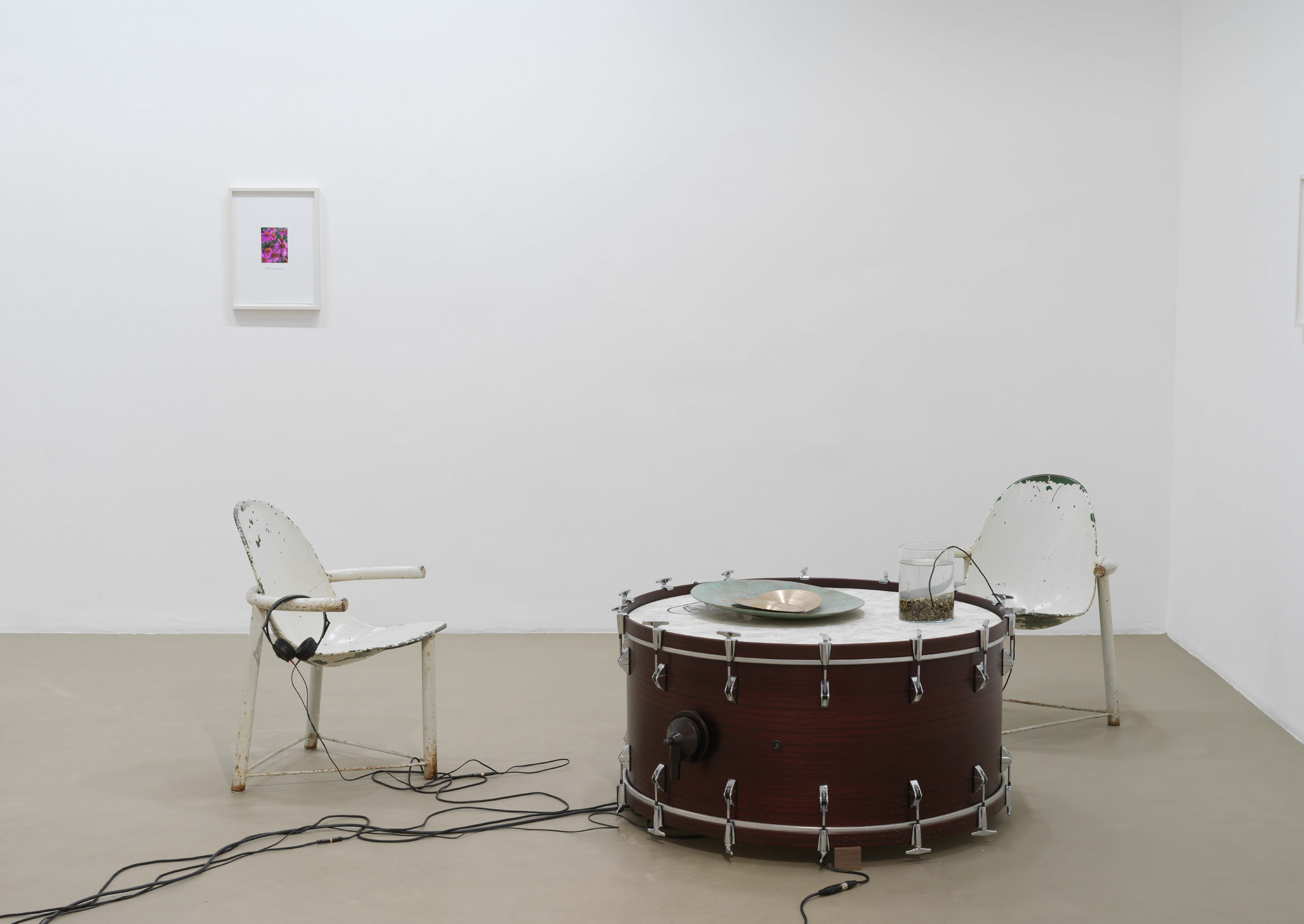 The Whisperers — The Whisperers / Module 1, 2021