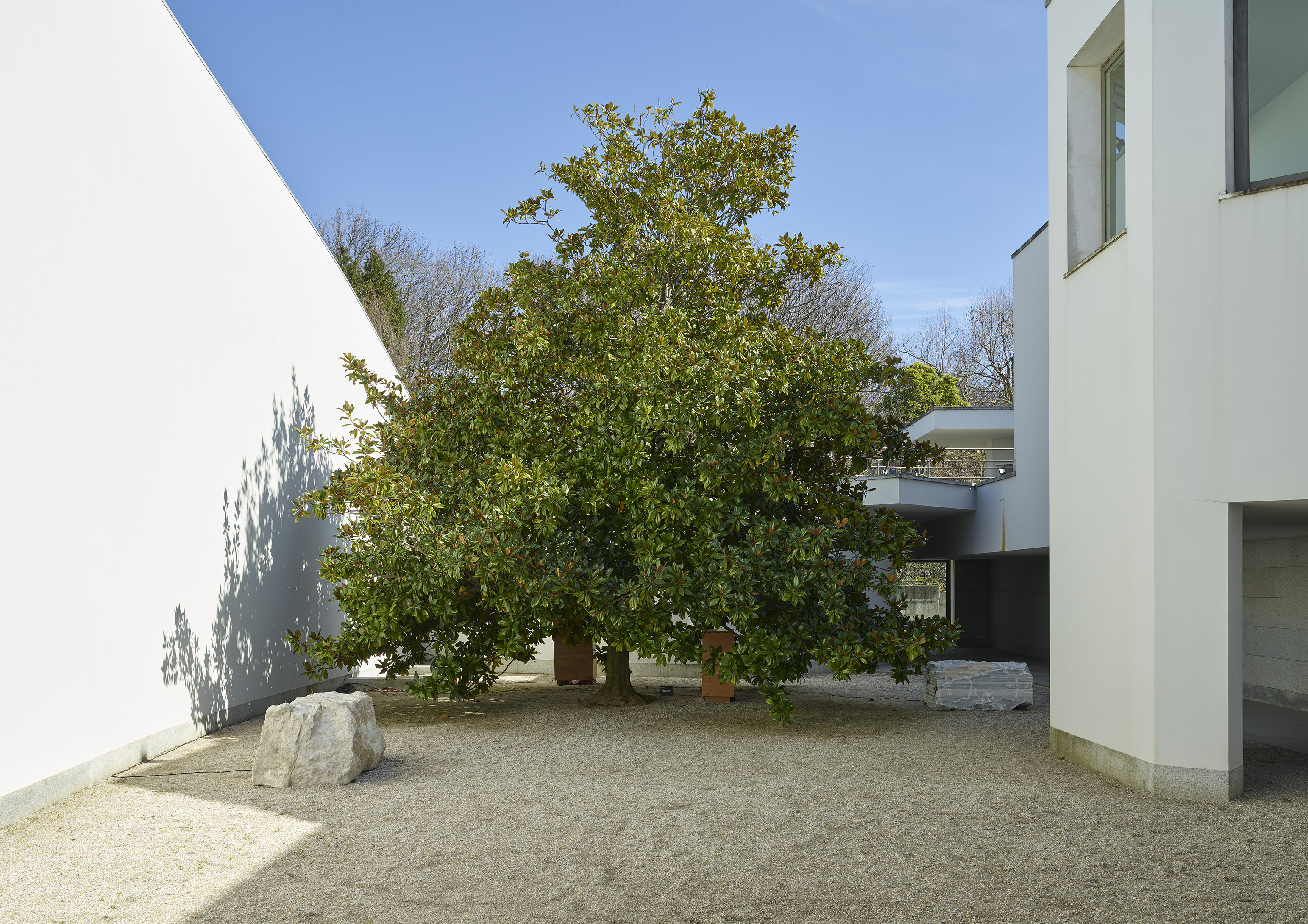Waters' Witness — Mudam Luxembourg, Luxembourg, 2022