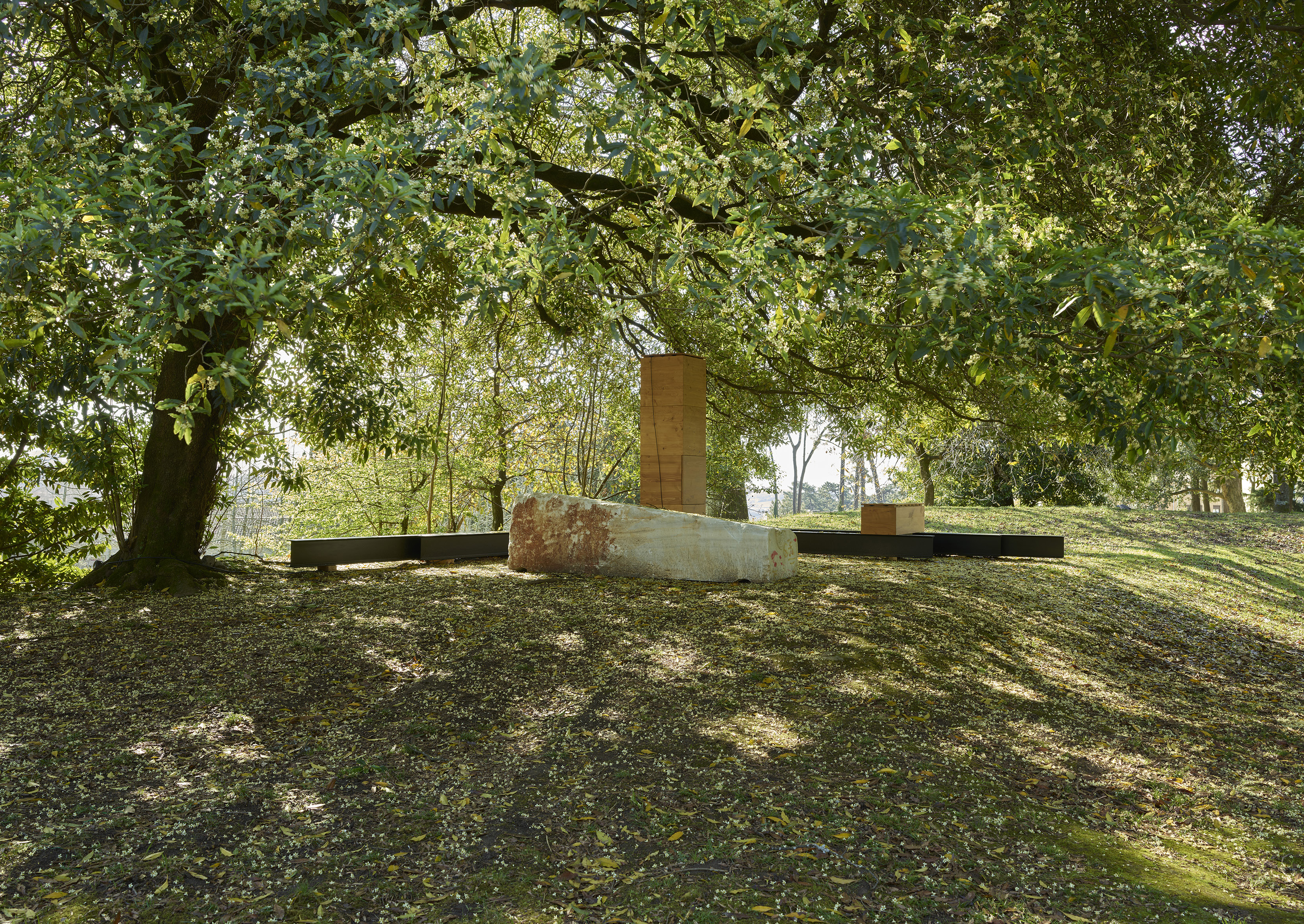 Waters' Witness — Serralves Museum, Porto, Portugal, 2022